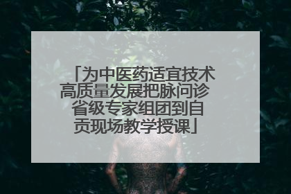 为中医药适宜技术高质量发展把脉问诊 省级专家组团到自贡现场教学授课